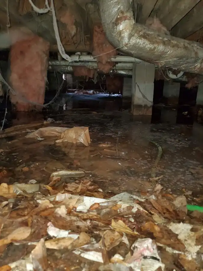 Crawl space flood assessment for Leak Detection & Repair in Calimesa