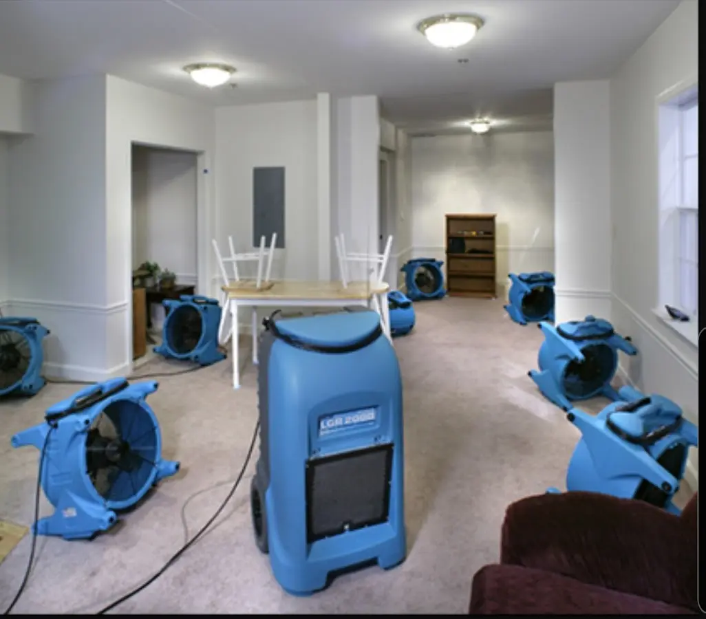 Air movers and dehumidifier setup for Water Extraction & Removal in Calimesa